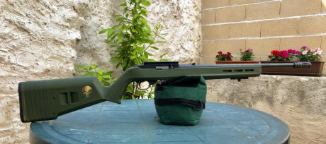 Saludos,busco Ruger 10/22  :ganster: 10