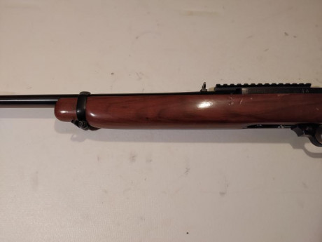 Hola foreros, quisiera vender mi ultima carabina Ruger 44 RM. He tenido tres o cuatro y esta ultima la 10