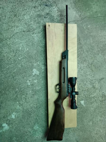 Hola tengo una carabina del 4.5 marca gamo de aprox 25 años o algo mas. Es muy masiva de madera, con estrias 30