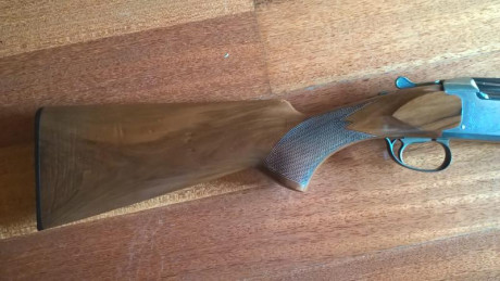 VENDIDA

Escopeta superpuesta tipo sporting/caza

Marca Miroku, modelo 3000.

Cañon de 71cm con chokes 02