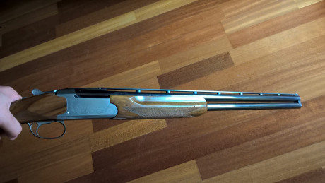 VENDIDA

Escopeta superpuesta tipo sporting/caza

Marca Miroku, modelo 3000.

Cañon de 71cm con chokes 00