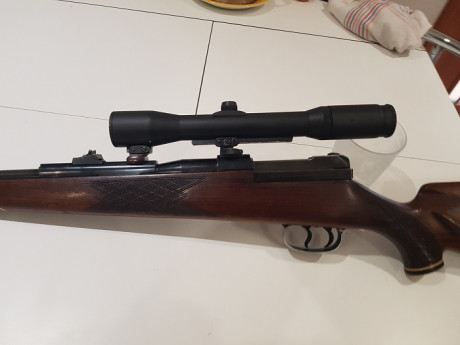 Vendo Mauser 66 calibre 6,5x68 con bases/monturas Shuler y visor Smith Bender 1,3/4 - 6x .
Salu2. 81