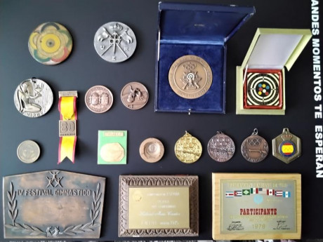 Lote medallas Federación Española de Tiro Olímpico

Lote compuesto de 18 objetos (3 placas y 15 medallas) 01