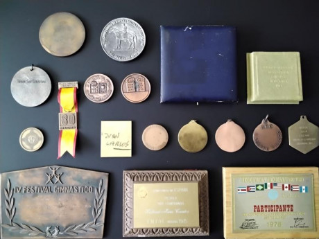 Lote medallas Federación Española de Tiro Olímpico

Lote compuesto de 18 objetos (3 placas y 15 medallas) 00