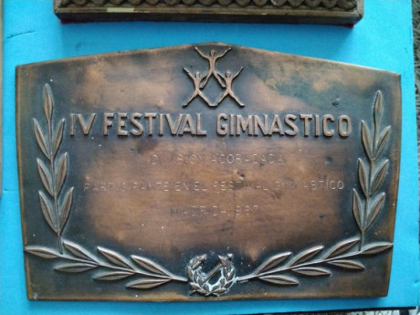 Lote medallas Federación Española de Tiro Olímpico

Lote compuesto de 18 objetos (3 placas y 15 medallas) 32
