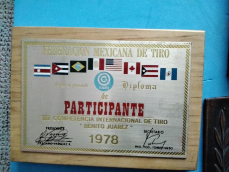 Lote medallas Federación Española de Tiro Olímpico

Lote compuesto de 18 objetos (3 placas y 15 medallas) 31
