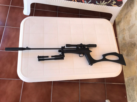 Vendo estinger ares 5.5 está en perfecto estado dos cargadores regalo bipode y visor gamo 90€ portes a 20