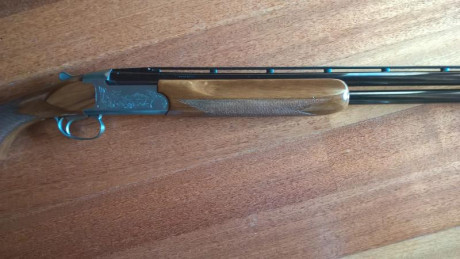 VENDIDA

Escopeta superpuesta tipo sporting/caza

Marca Miroku, modelo 3000.

Cañon de 71cm con chokes 21