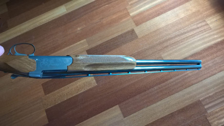 VENDIDA

Escopeta superpuesta tipo sporting/caza

Marca Miroku, modelo 3000.

Cañon de 71cm con chokes 20