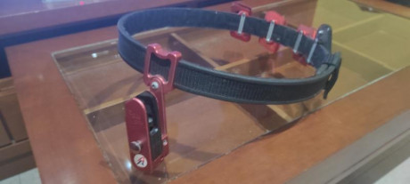 Se vende cinto con funda RACE Master con casste para Glock y 3 portacargadores DoubleAlpha aluminio rojo 01