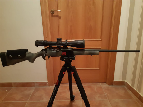 Rifle con cargador extraíble, carril con 0 moas y carrillera regulable. Solo se vende lo indicado. Toda 01