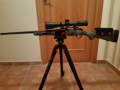 Rifle con cargador extraíble, carril con 0 moas y carrillera regulable. Solo se vende lo indicado. Toda 00