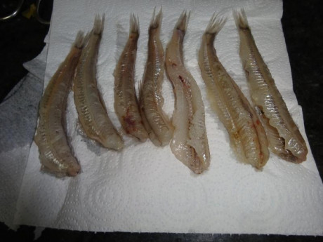Hoy para comer acelgas hervidas y chuletón de vaca gallega vieja con seis semanas de maduración en cámara 80