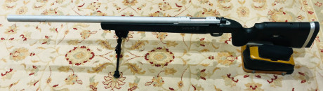 Un amigo me ha pedido que le ponga a la venta unas cosillas.
Esta es una de ellas.

SABATTI TACTICAL SYN 20