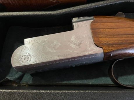 Superpuesta Benelli  calibre 12 para caza cañón 71
Varios chokes y maletín , esta en buen estado
Precio 01