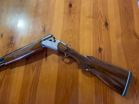 Superpuesta Benelli  calibre 12 para caza cañón 71
Varios chokes y maletín , esta en buen estado
Precio 00