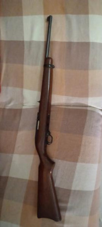 Quito de la venta para tunearla a tacticool.. Gracias 00