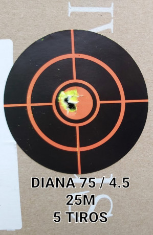 Buenas tardes,

Diana 75, la carabina se encuentra en muy buen estado con  pocos signos de uso  tanto 50