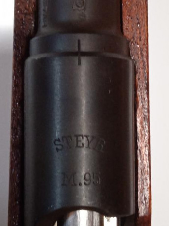 Busco un Steyr-Mannlicher M95 en 8x56R para colección. 

Como el de la foto. Contacto por privado.

Saludos. 42