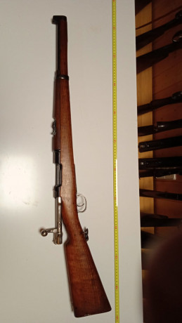 Buenos días.

Ando buscando una carabina máuser en modelo 98, de las cortas. Pero no confundir con la 21