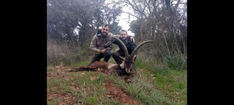 Yo no soy cazador, pero tengo amigos que sí, de vez en cuando he podido probar platos de pluma y por aquí 150