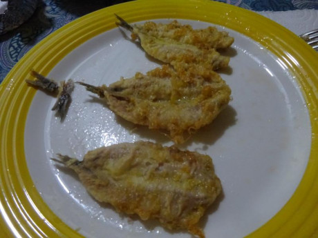 Hoy para comer acelgas hervidas y chuletón de vaca gallega vieja con seis semanas de maduración en cámara 160