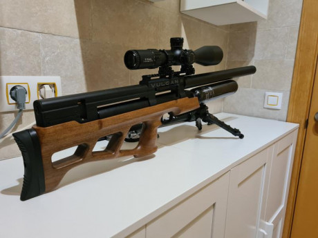 Para dar cabida a un nuevo proyecto, vendo esta estupenda Vulcan3 de AirgunTechnology.
La carabina fue 01