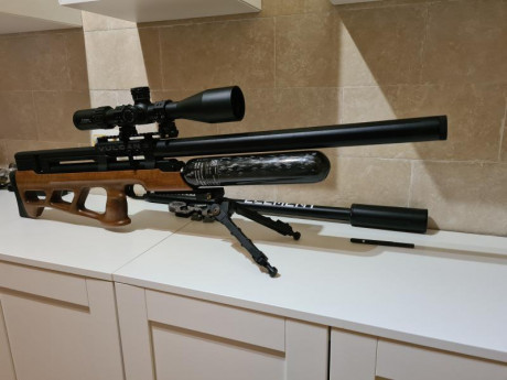 Para dar cabida a un nuevo proyecto, vendo esta estupenda Vulcan3 de AirgunTechnology.
La carabina fue 00