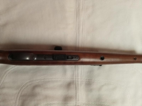 La carabina es una CZ452 
Disparando a 50m aunque el visor estaba puesto a 100 y me ha dado pereza tocarlo.
He 100