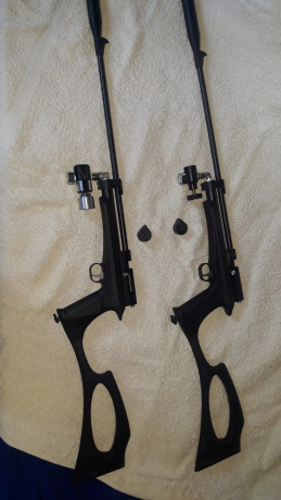 Buenas pongo a la venta dos carabinas STINGER ARES de 5.5 pasadas a pcp "una es STINGER y la otra 00