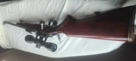 Vendo carabina Toz 17-01, calibre 22 Lr y visor Gamo 4x32 AO compact, en muy buen estado y precisa, inclusive 00