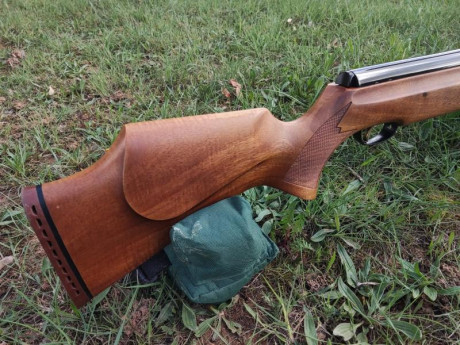 Vendo carabina Webley Tomahawk .22 de colección, prácticamente sin usar. Modelo original inglés. 

Precio; 10