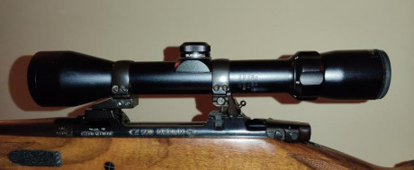 Pues me quito esta joya. Apel de 30mm para cz 550 y bushnell trophy 1.5-6x44 .
Precio del conjunto 300 00