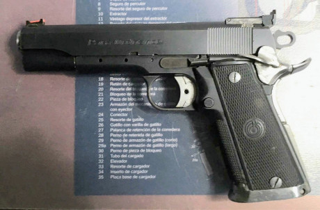 Se vende Para Ordenance P16-40, con tres cargadores y cañón pesado.
Tiene sus años pero funciona perfectamente.
Se 01