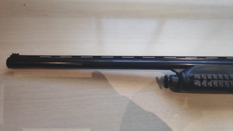 Se vende beretta en perfecto estado, limitado cargador a 2+1 para cazar, cañon fijo 3* 250€, perfecto 10