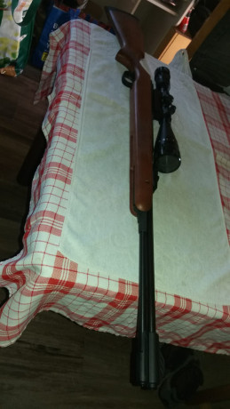 Vendo Diana 460 Magnum en calibre 5.5. Su estado es casi impecable, adjunto dos fotos de un par de marcas 02