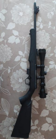 Por exceso de armas pongo en venta Rifle ROSSI MAGTECH, modelo 817, calibre 17hmr, con dos cargadores 00