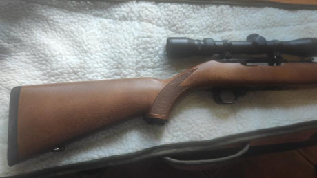Para hacer sitio en el armero y para comprar otro juguete, vendo mi carabina RUGER 10/22 por 350euros 12