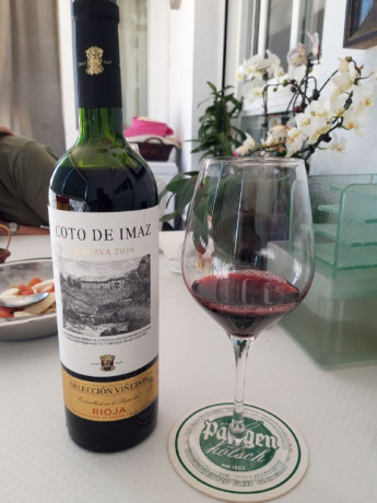 Hoy para comer acelgas hervidas y chuletón de vaca gallega vieja con seis semanas de maduración en cámara 40