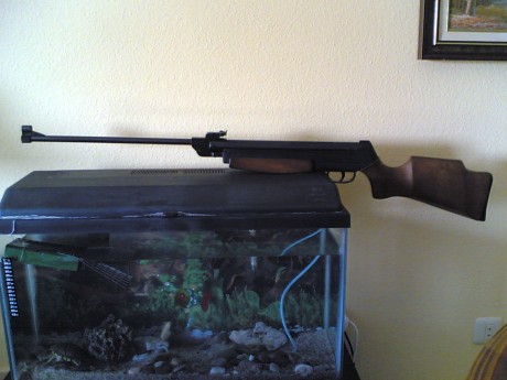 ... mi Gamo Expo me la regalaron cuando tenía 15 años, es decir, en el 84.

Y la Hunter 440 y la P-23 20