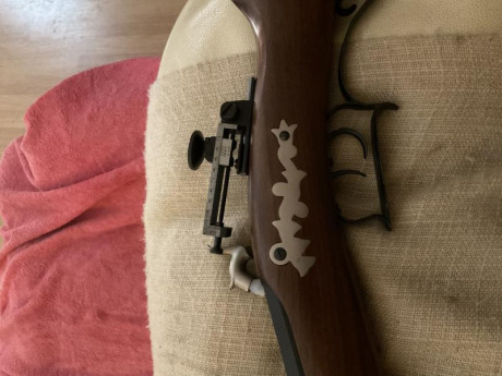 Buenos dios hoy le toca a este ejemplar que compré durante la primera ola del covid, y que no he llegado 11