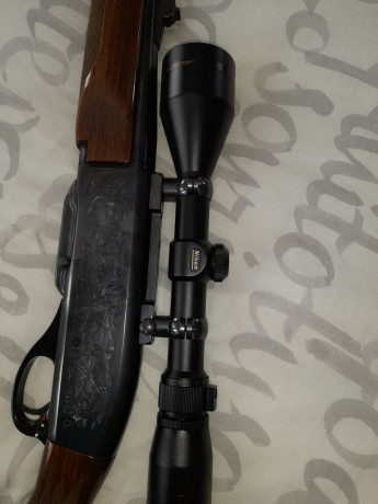 VENDIDO 00