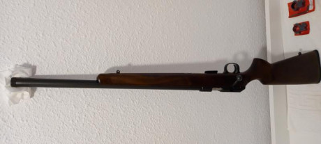 Carabina CZ 457 Varmint calibre 22 LR esta sin estrenar en su caja regalo anillas spormatch medianas  02