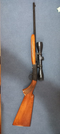 VENDIDA, BORRAR MENSAJE
CARABINA Cal. 22 LR, automatica, Marca Browning, con visor 1,5 - 5 X 40, este 02