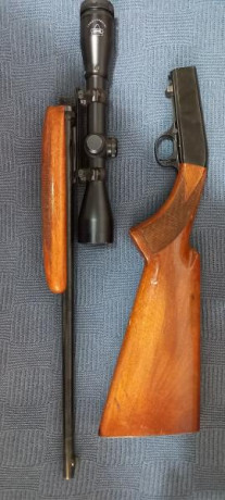 VENDIDA, BORRAR MENSAJE
CARABINA Cal. 22 LR, automatica, Marca Browning, con visor 1,5 - 5 X 40, este 00