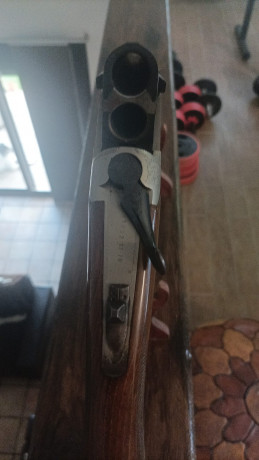 Vendo o cambio escopeta superpuesta Lamber. como nueva. no ha tirado cuatro cajas de cartuchos. exceso 40