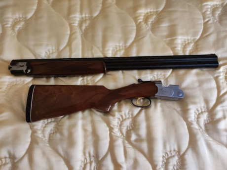 En venta
Beretta 687 Silver Pigeon (Caza).
Superpuesta cal.12 Muy buen estado.
Monogatillo, selector de 02