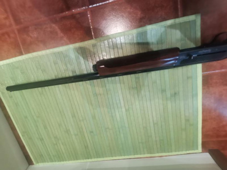 Vendo escopeta Remington 105 cti con maletin y 3 polichokes, funciona perfectamente jamás me dio un problema 22