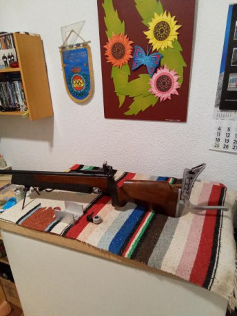 Se vende carabina weihrauch HW60M ,cañón pesado con más de 23mm.de diámetro y 65cm de largo.Tiene muy 20