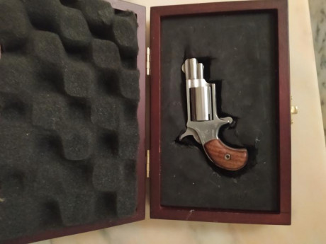 Buenas tardes,se vende revolver avancarga,marca NAA calibre 22,con útiles de carga, proyectiles y chimeneas 00